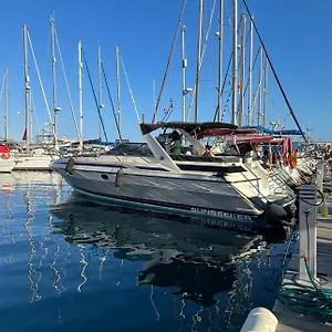 Boat In , Puerto De Mogan Spain